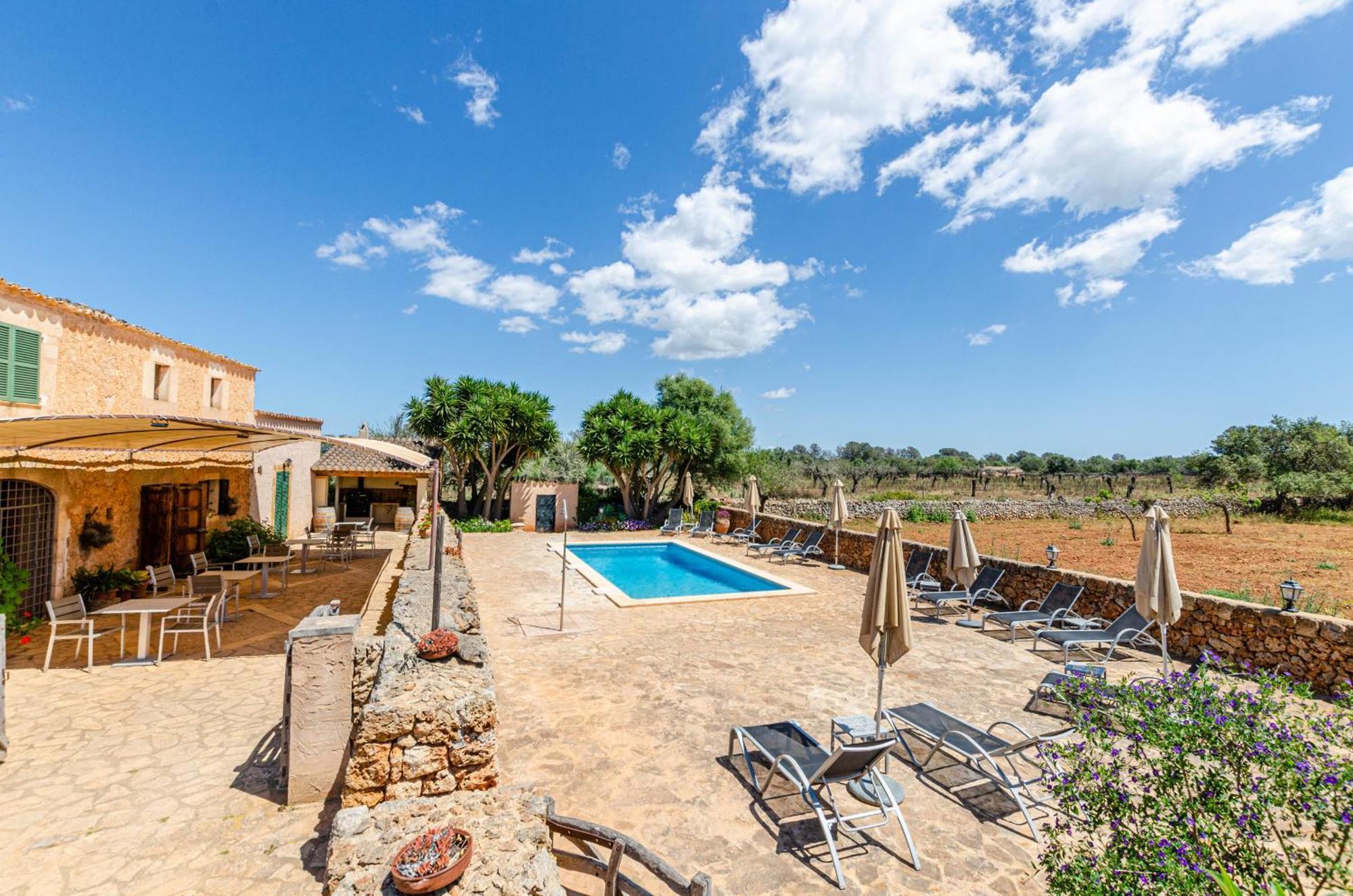 Yourhouse Porreti La Soll