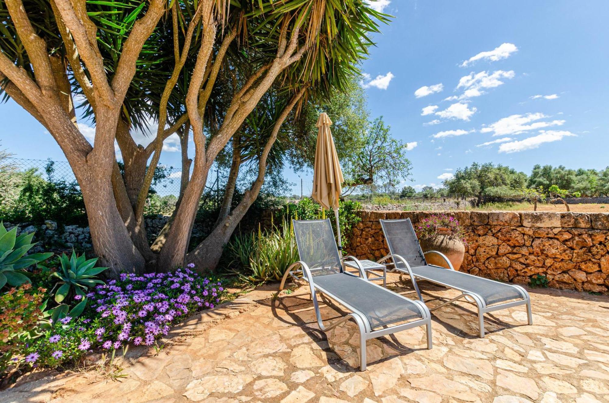 Yourhouse Porreti La Soll Apartment